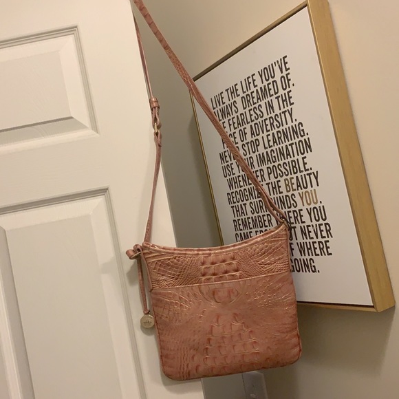 Brhamin - Picture 8 of 8